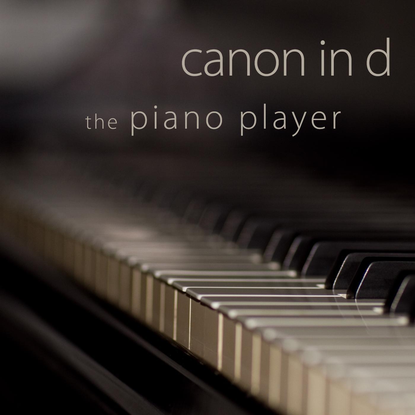 Постер альбома Canon in D
