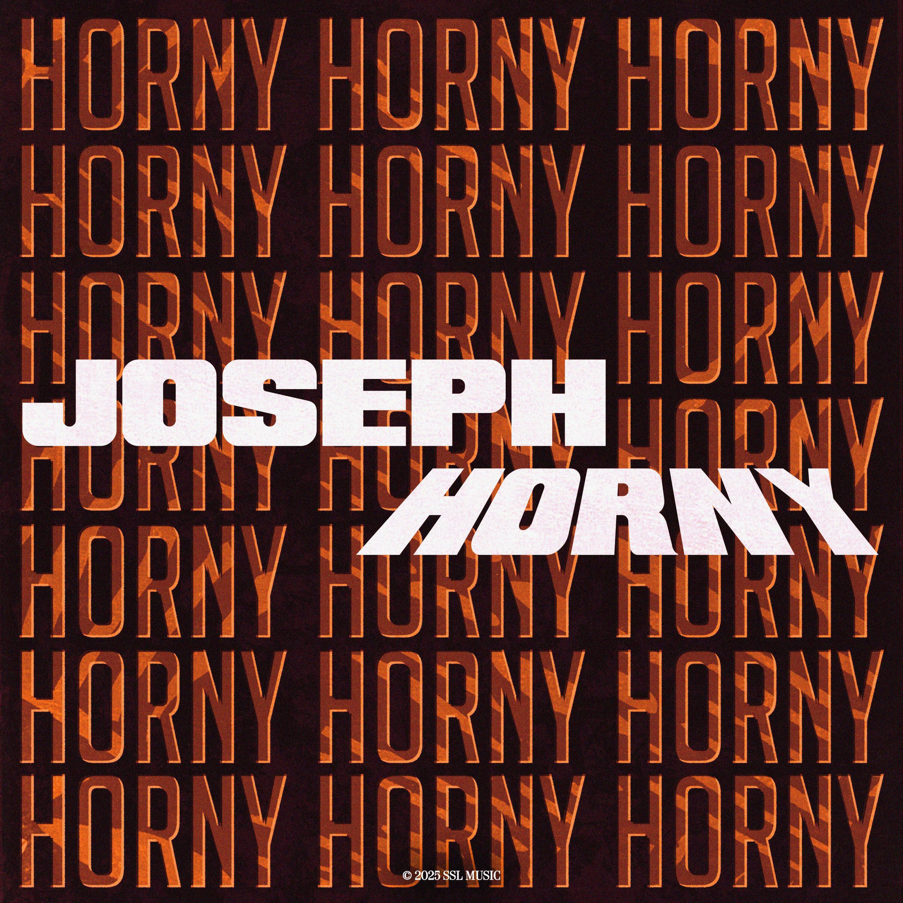 Постер альбома Horny