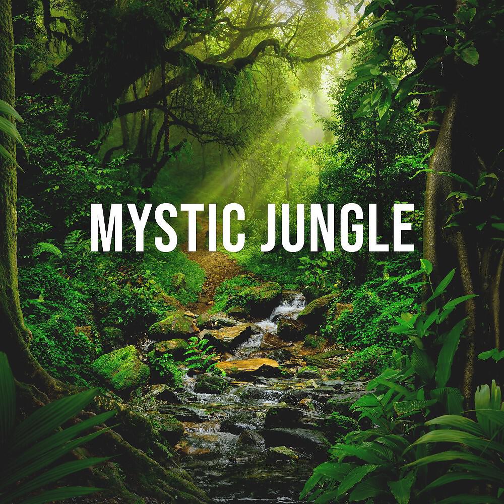 Релиз Mystic Jungle: Meditative Soundscape That Has a Positive Effect on Your Sleep