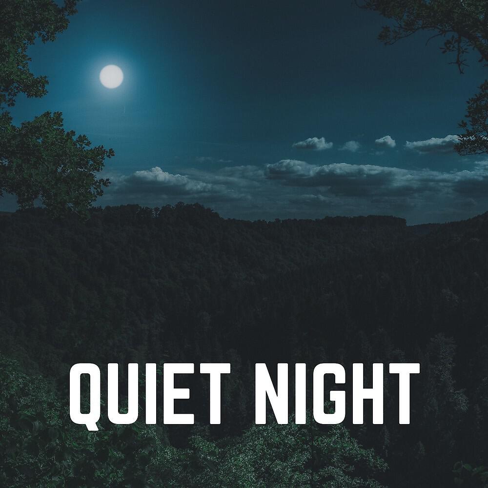 Релиз Quiet Night