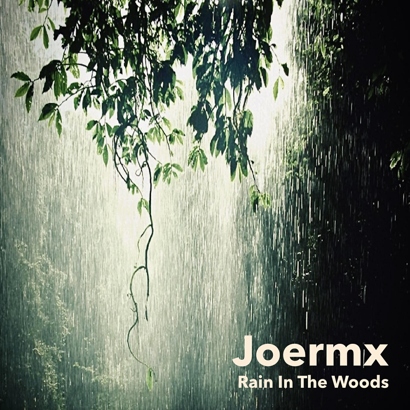 Joermx