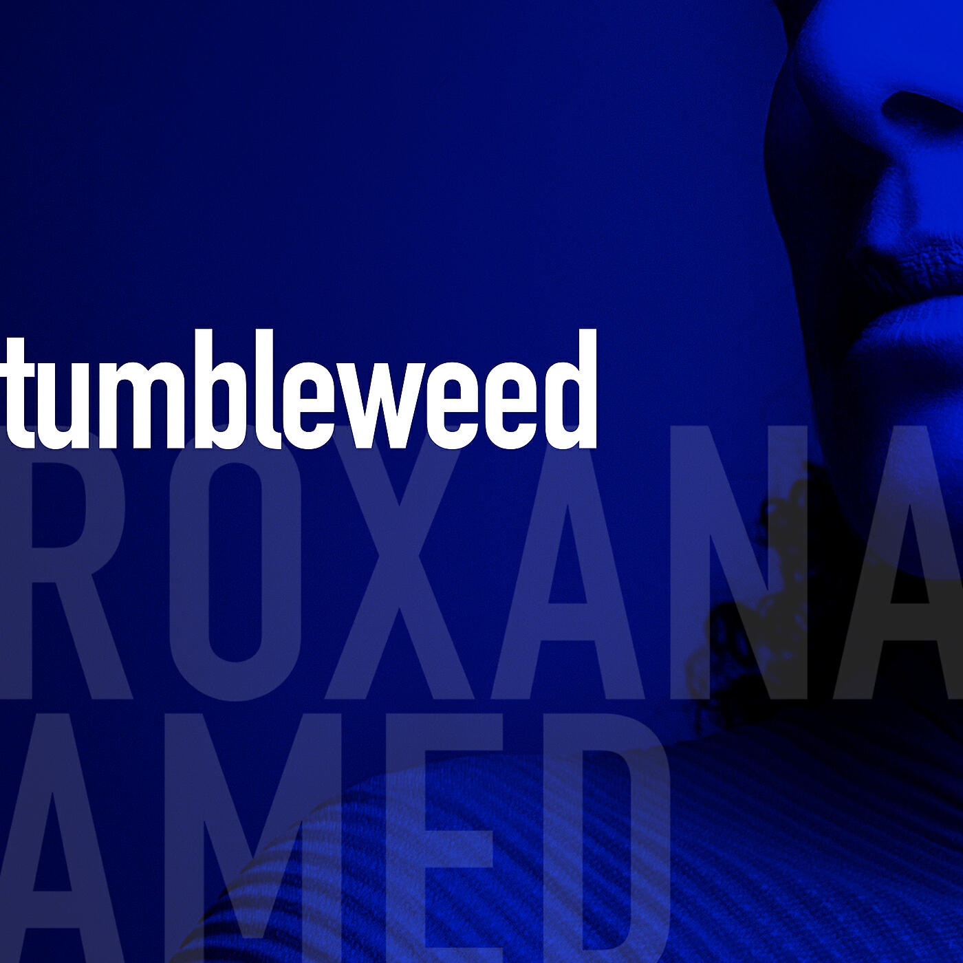 Релиз Tumbleweed