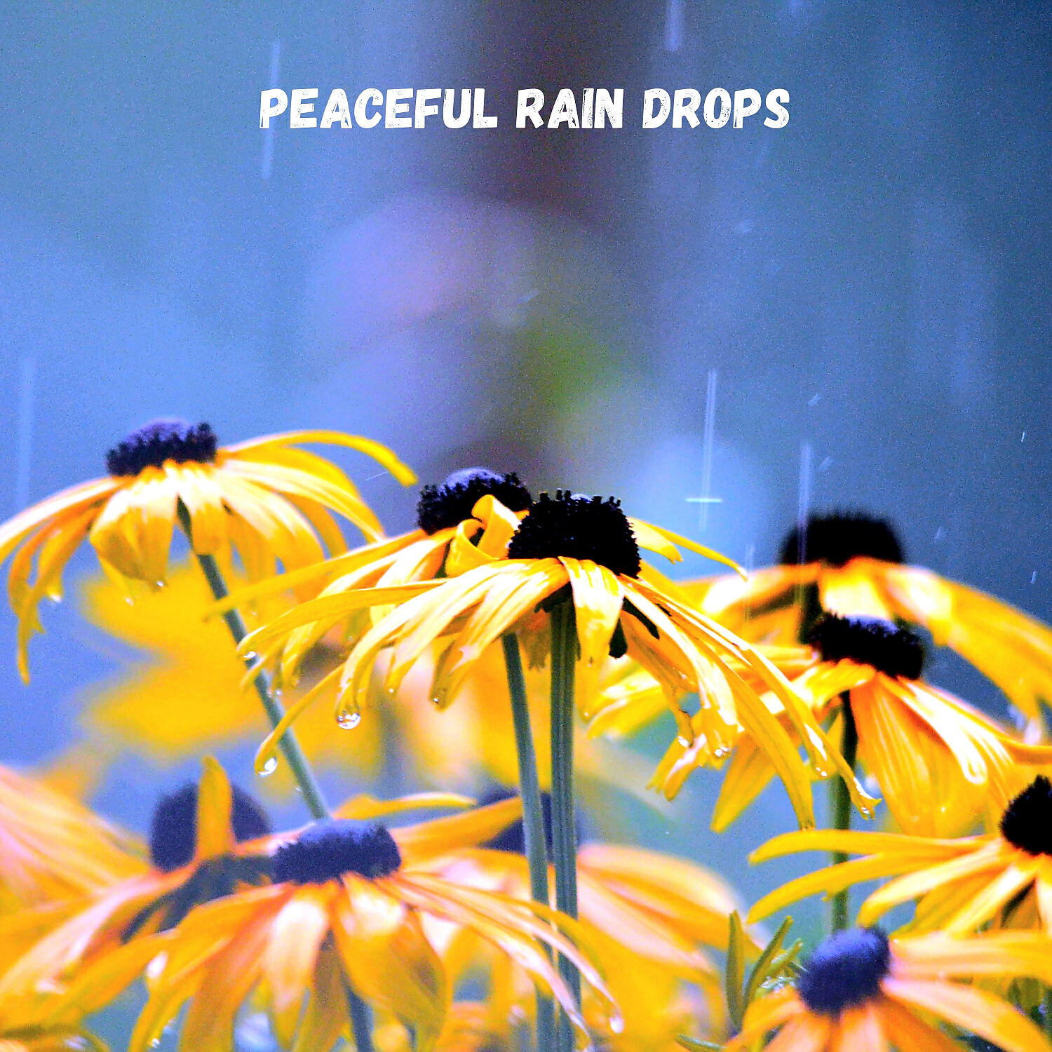 Outdoor Field Recorders & Hi Freq Samples & Hotel Spa - Spring rain