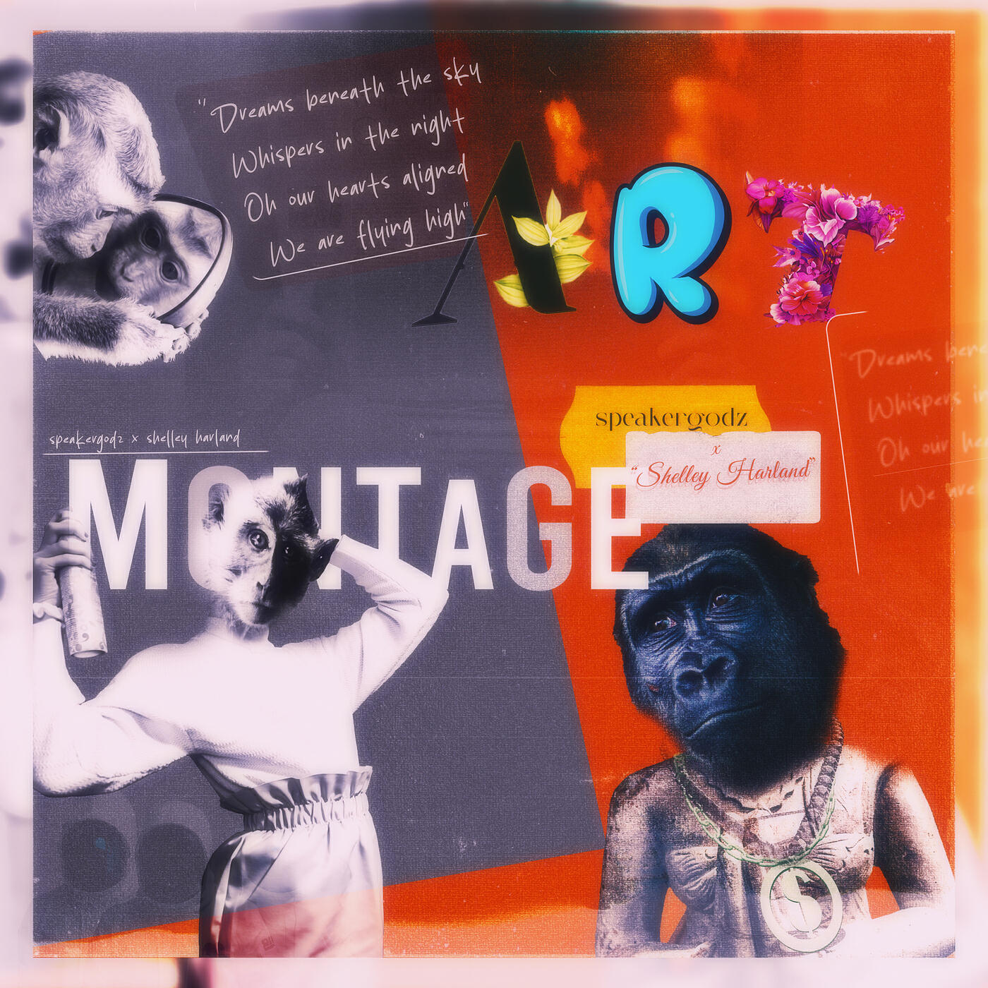 Релиз Montage Art