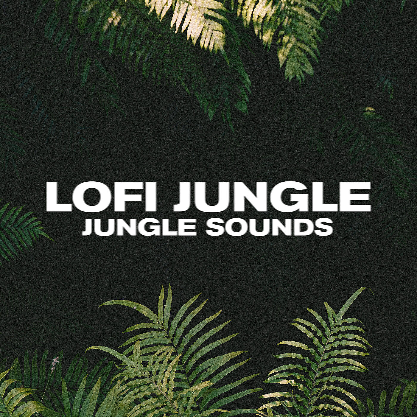 Релиз jungle sounds