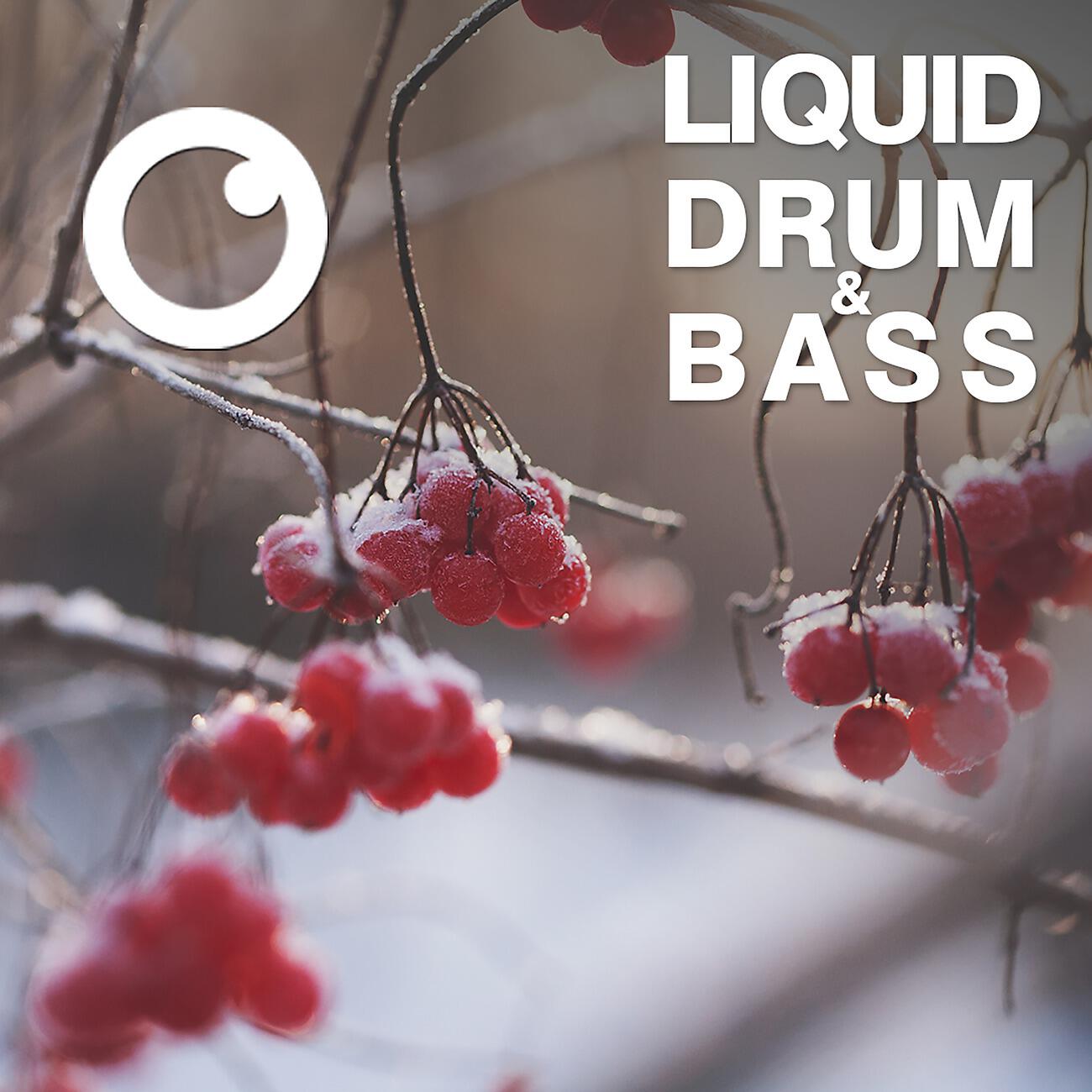 Релиз Liquid Drum & Bass Sessions 2020 Vol 17 : The Mix