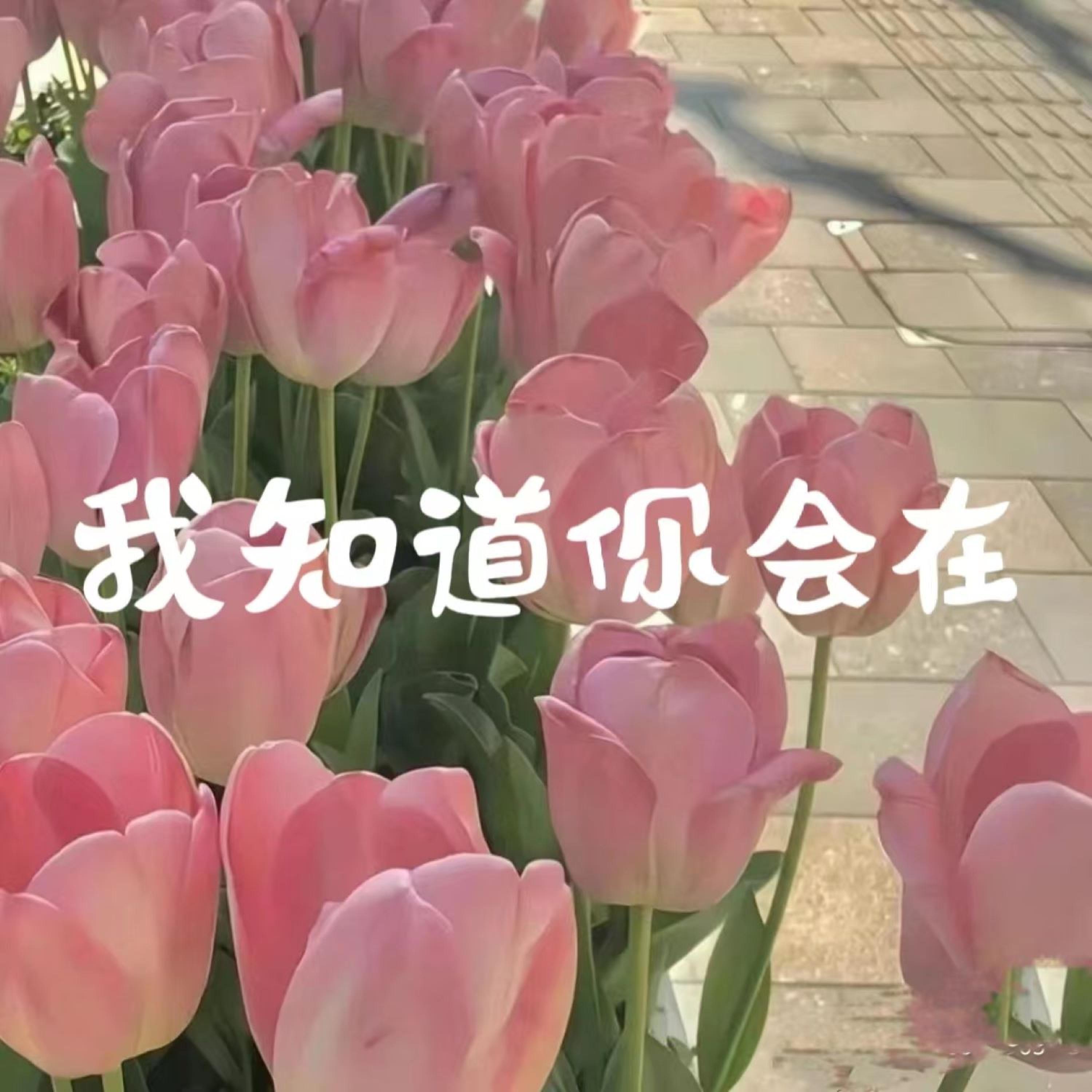 Релиз 我知道你会在