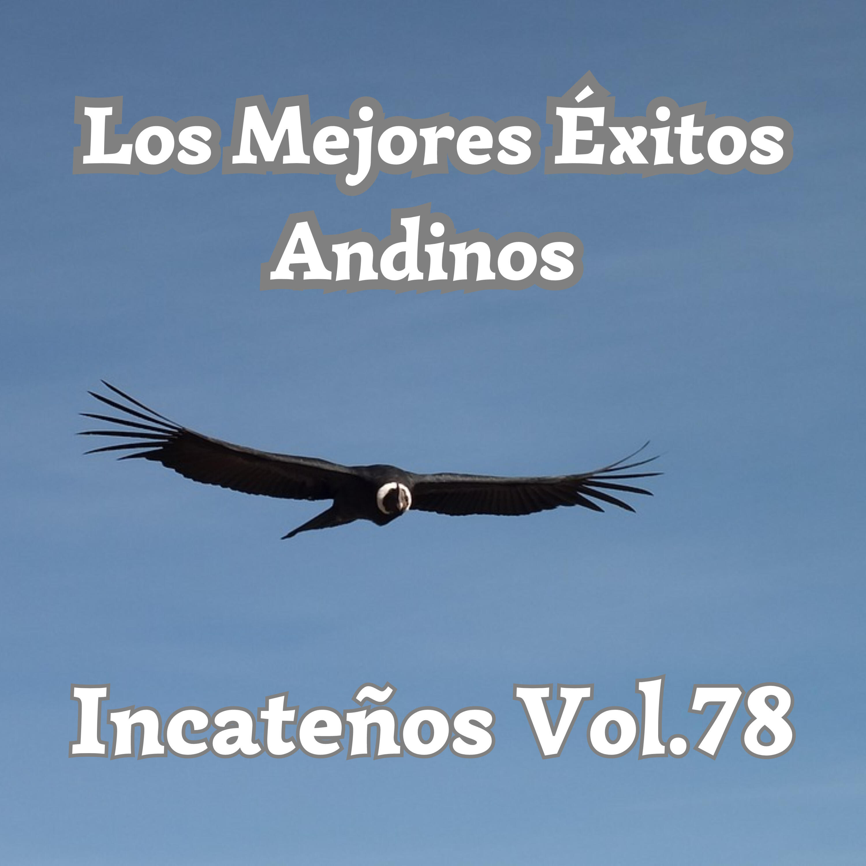 Постер альбома Los Mejores Éxitos Andinos, Incateños, Vol. 78