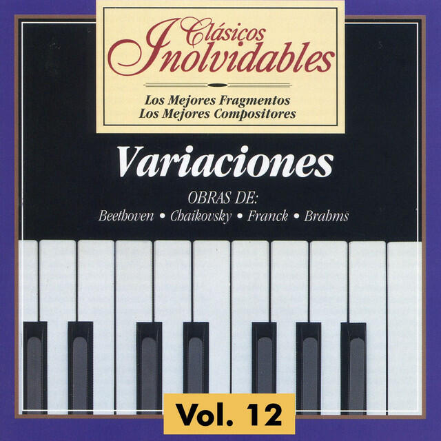 Постер альбома Clásicos Inolvidables Vol. 12, Variaciones