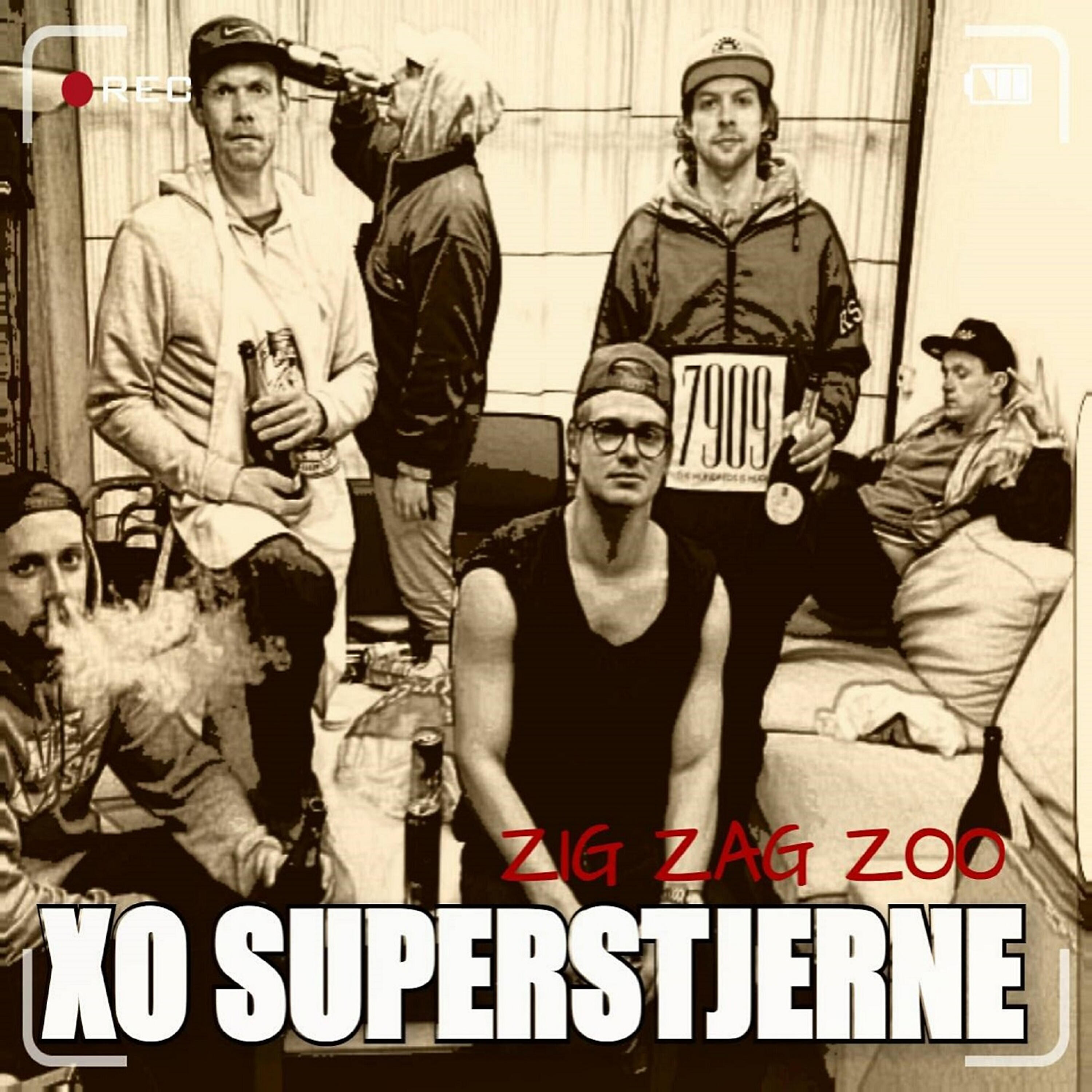 Zig Zag Zoo