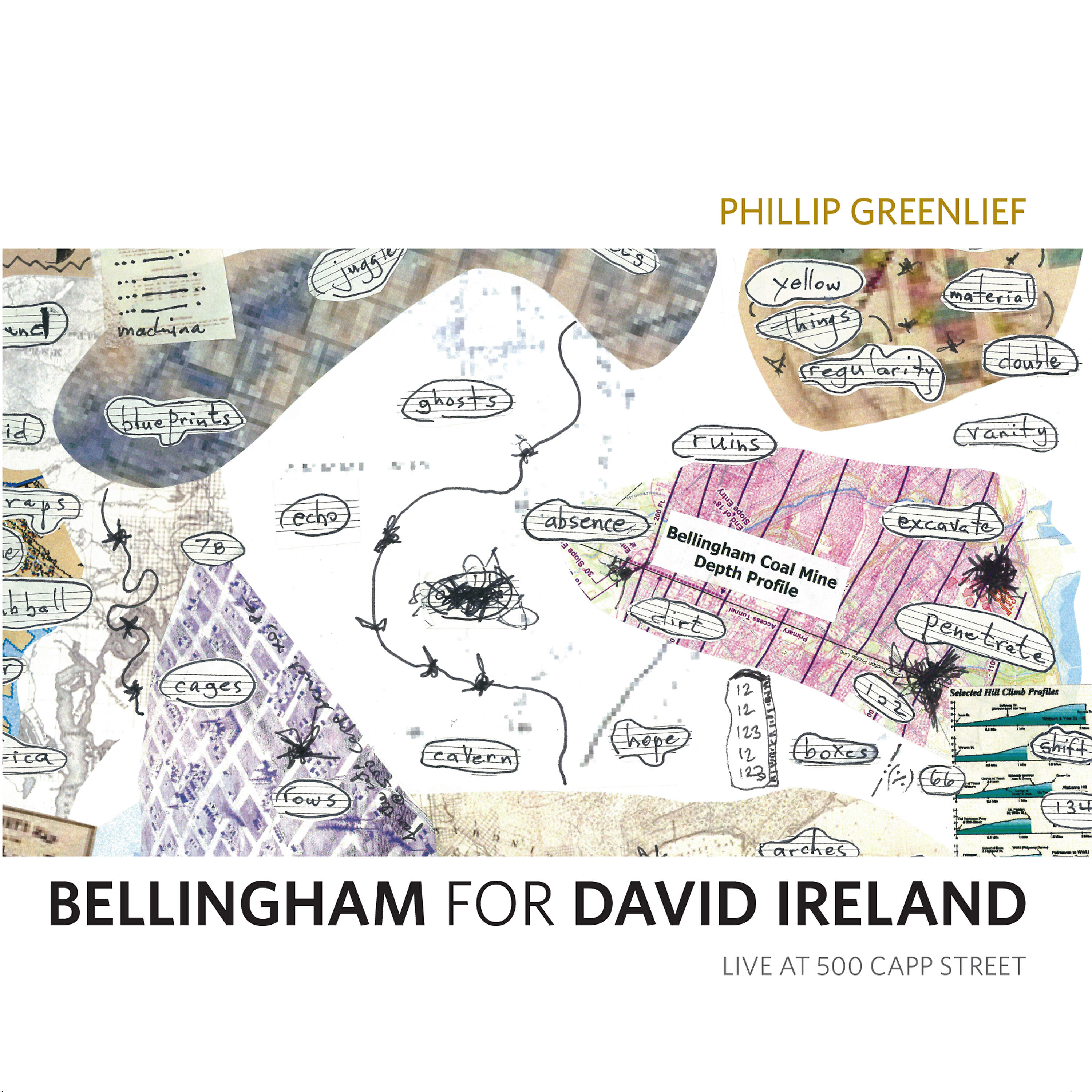 Релиз Bellingham for David Ireland
