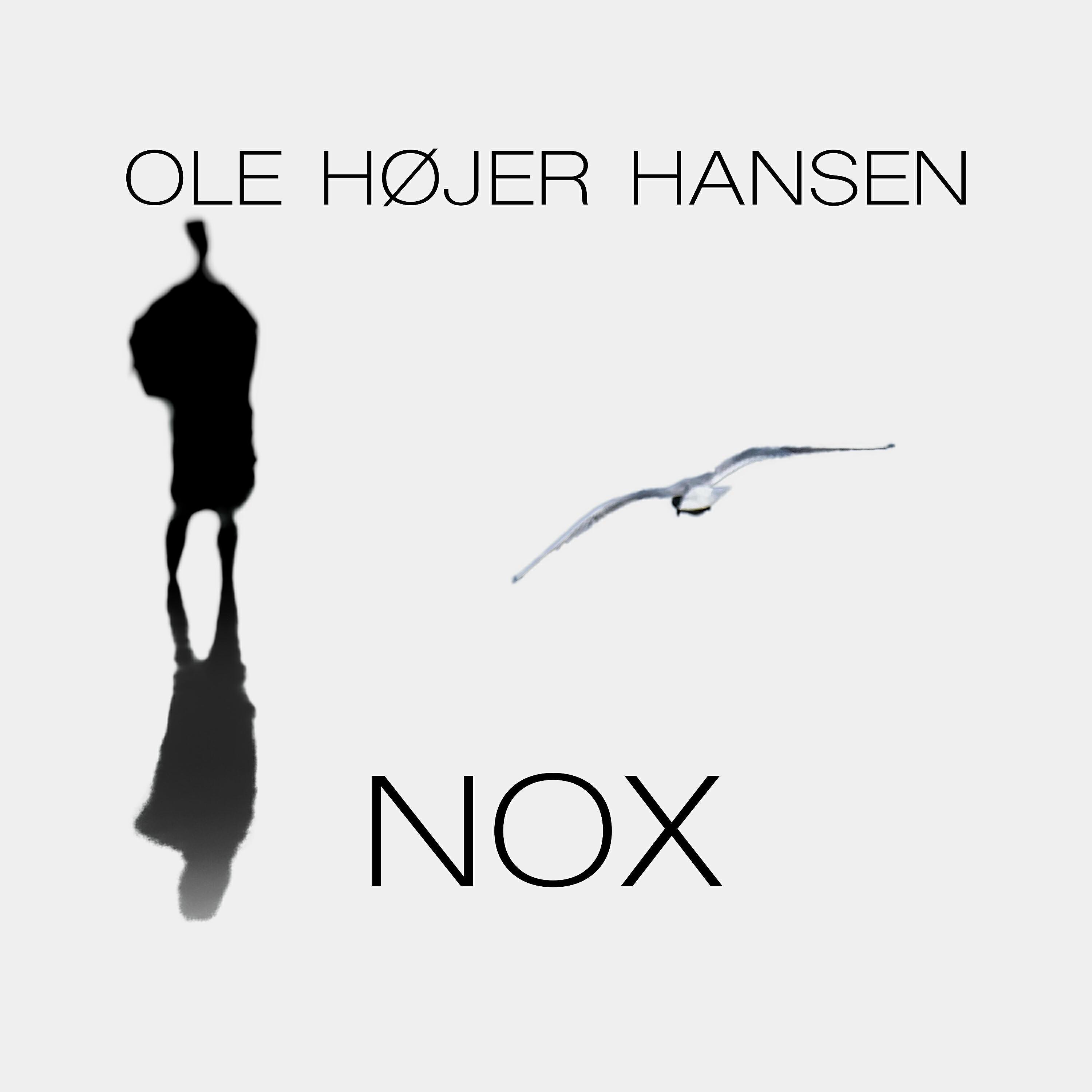 Ole Højer Hansen