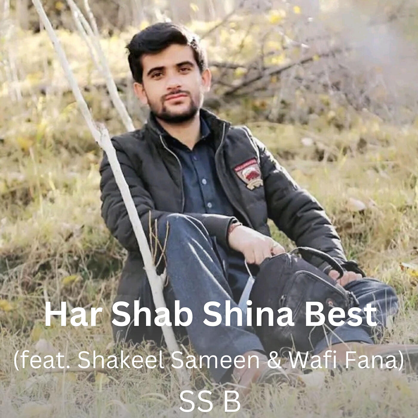 Релиз Har Shab Shina Best