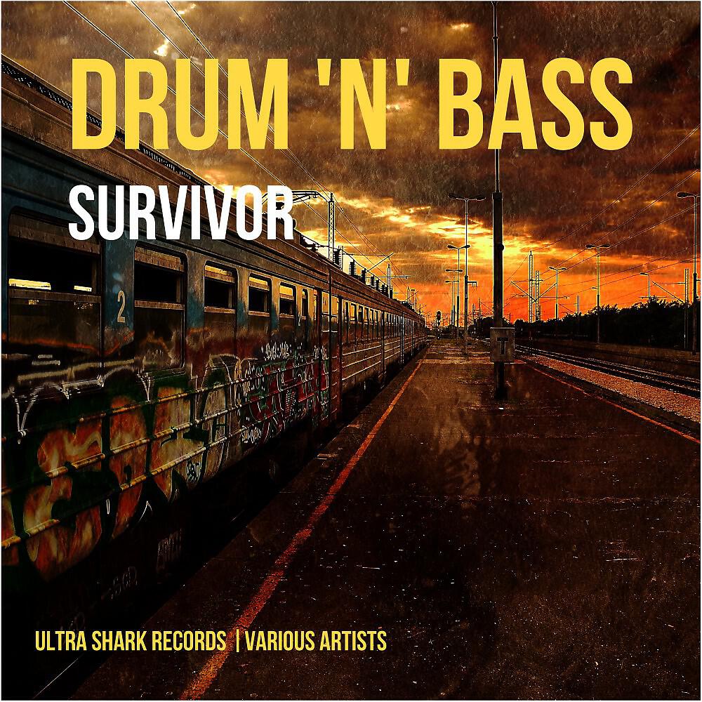 Релиз Drum and Bass Survivor, Vol. 1