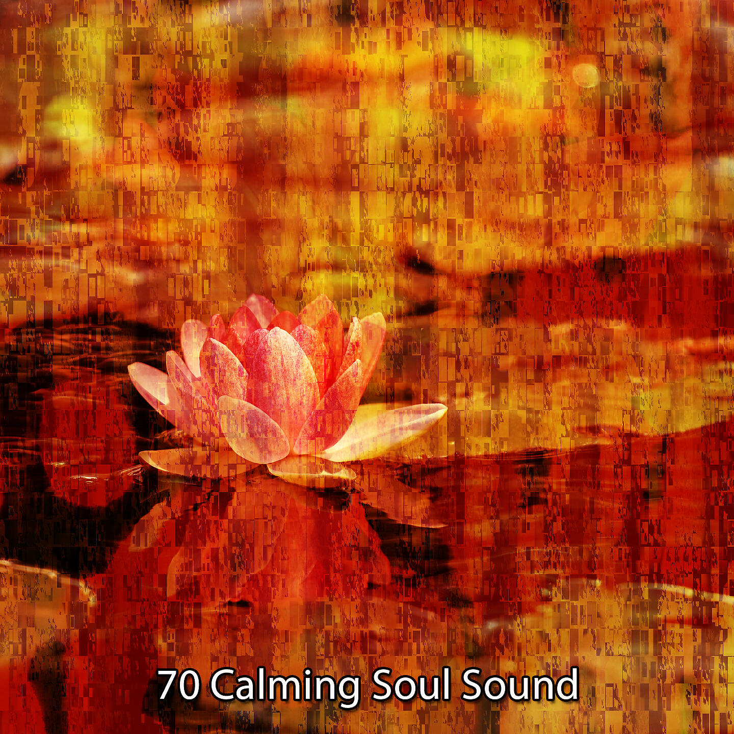 Релиз 70 Calming Soul Sound