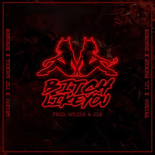 Релиз Bitch Like You