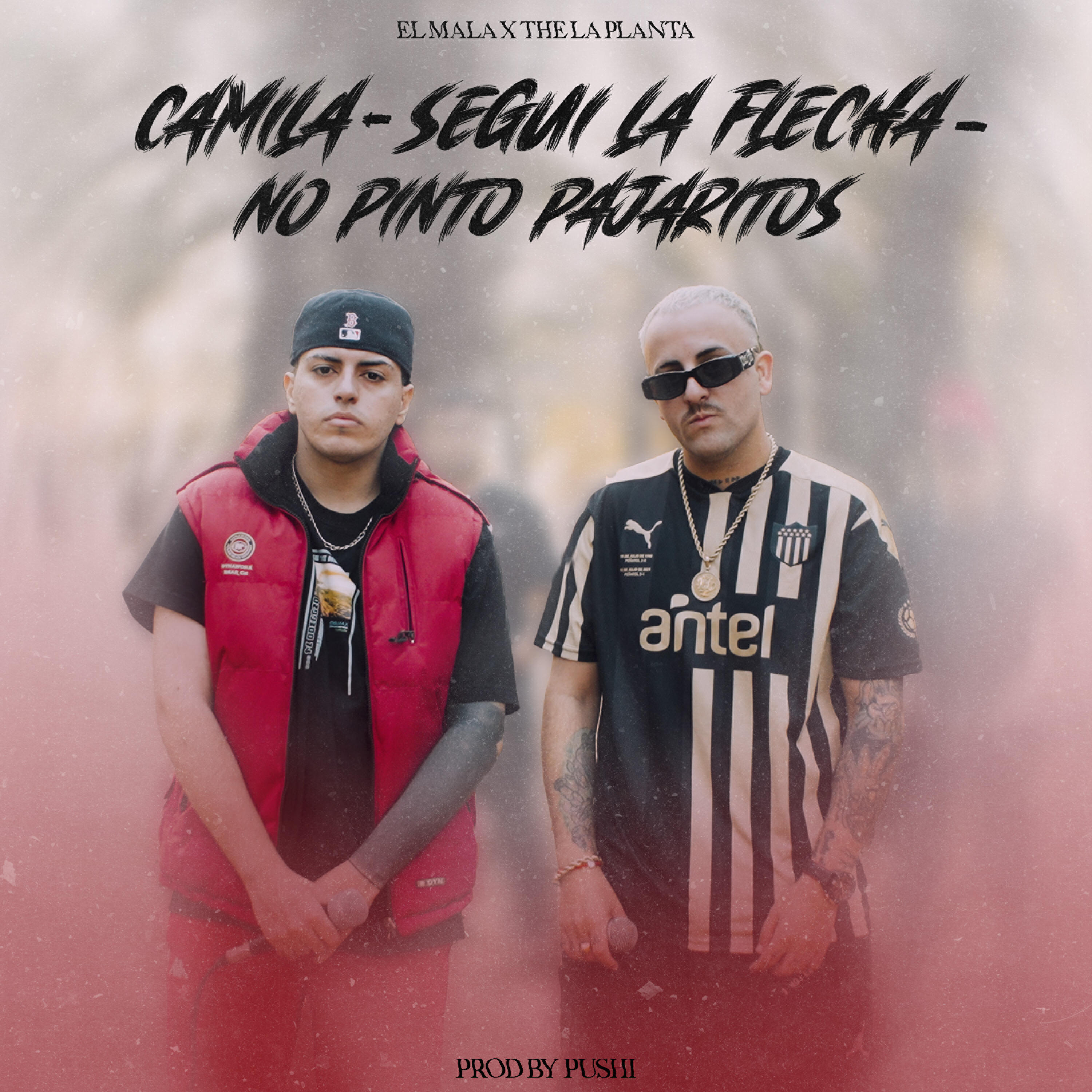 Релиз Camila / Seguí la flecha / No pinto pajaritos