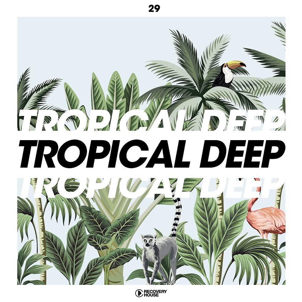 Релиз Tropical Deep, Vol. 29