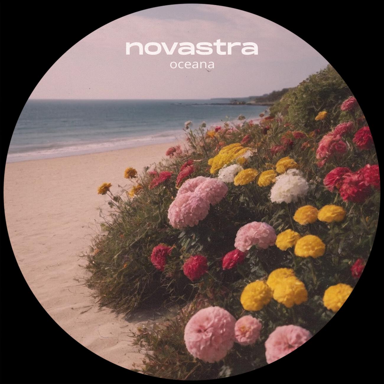 Релиз oceana