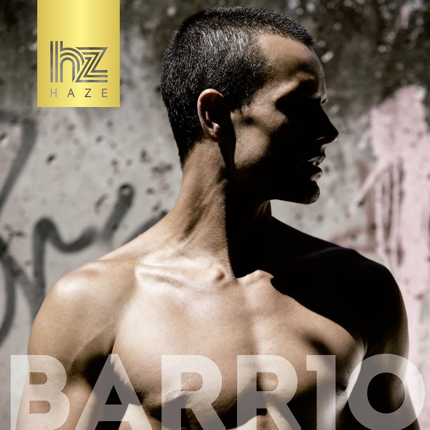 Релиз BARR10