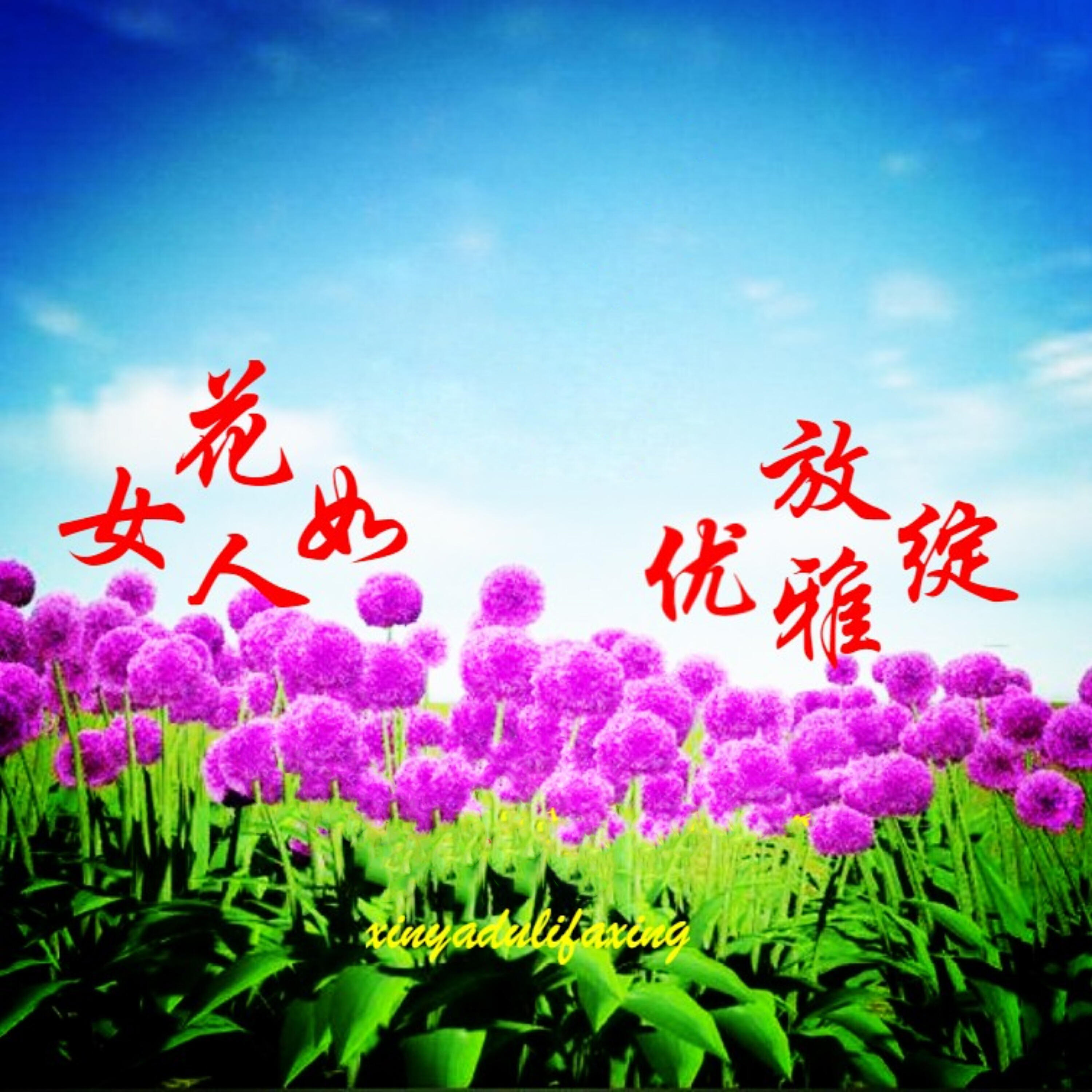 Релиз 女人如花优雅绽放