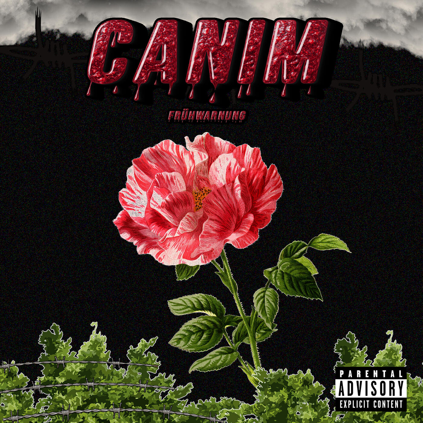Релиз Canim