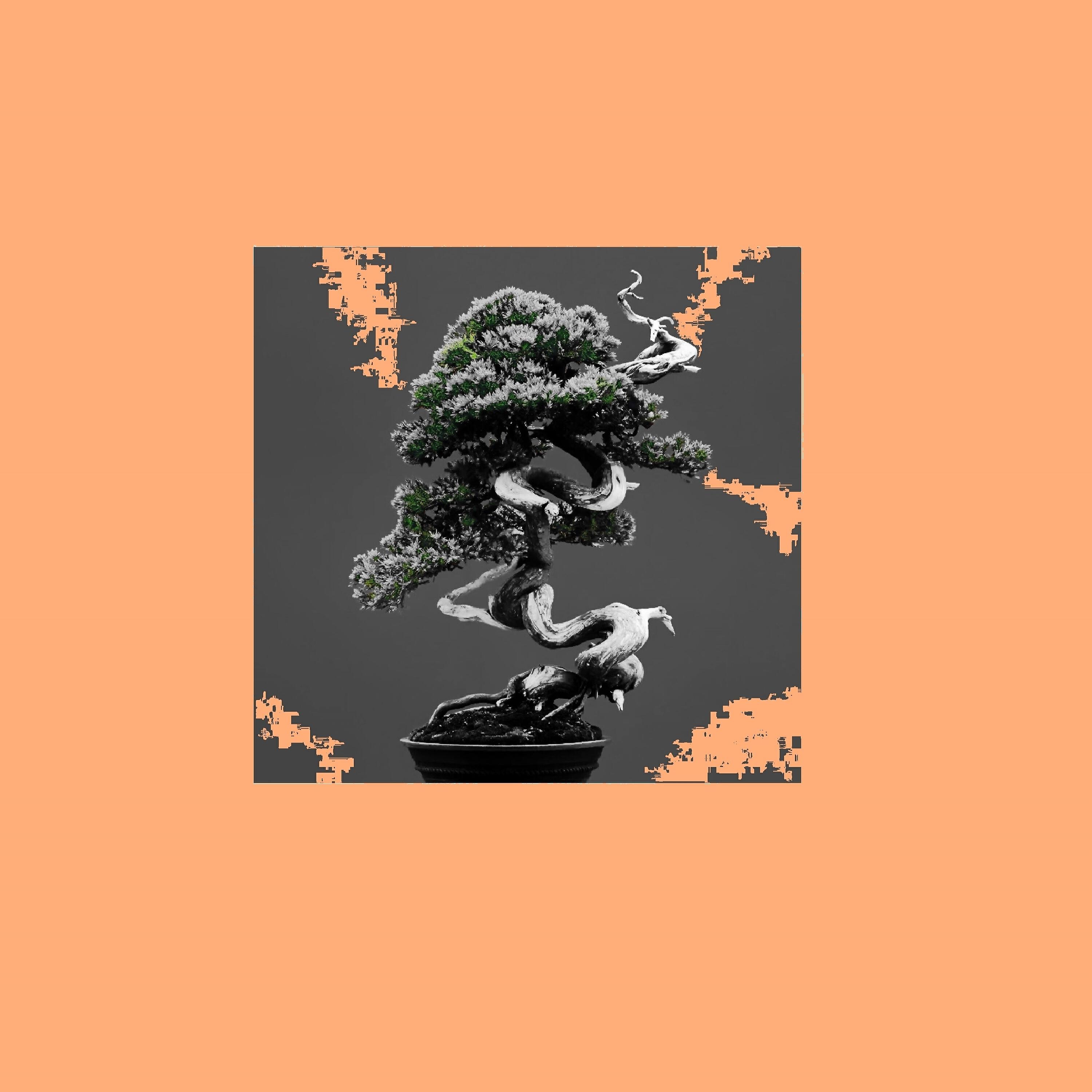 Релиз Bonsai, Vol. 1