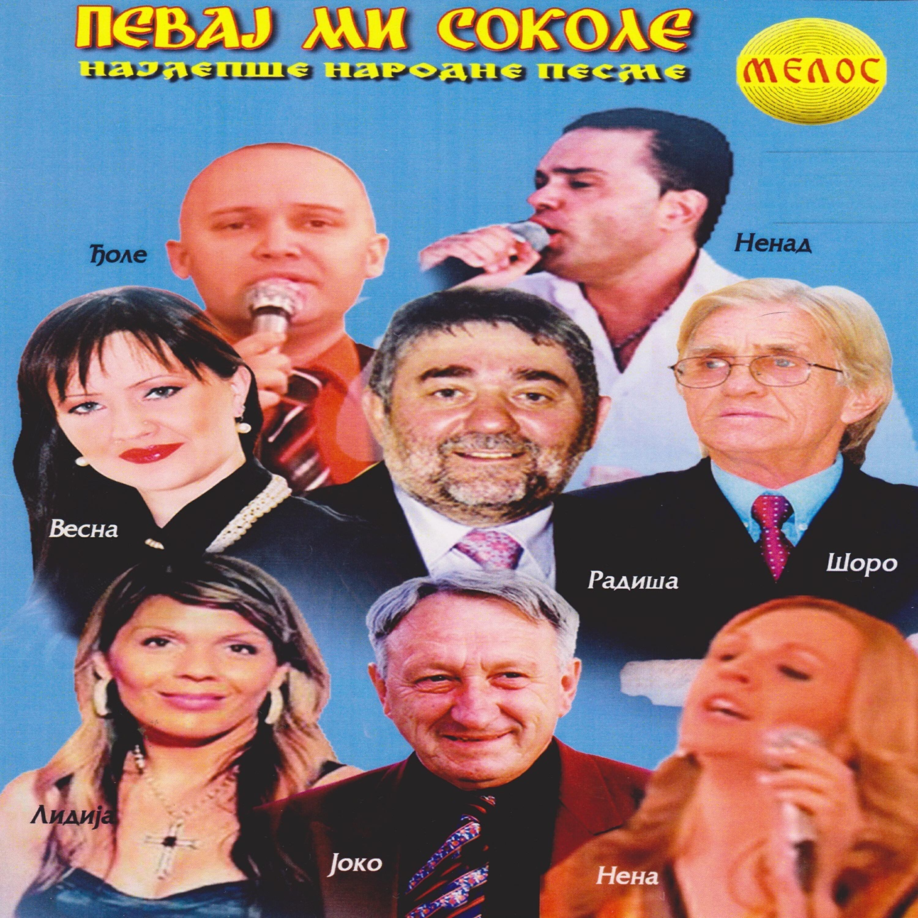 Постер альбома Pevaj mi sokole