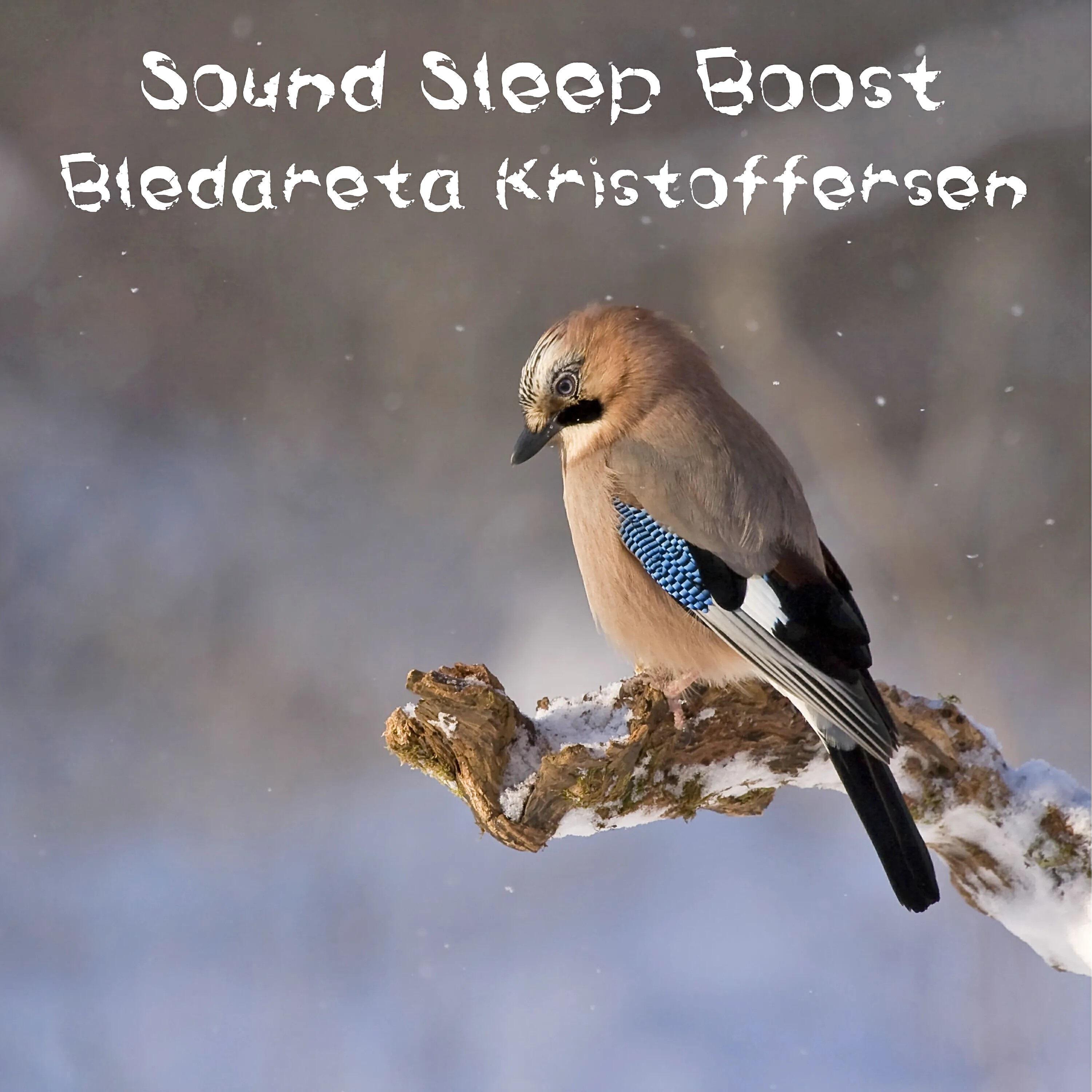 Bledareta Kristoffersen