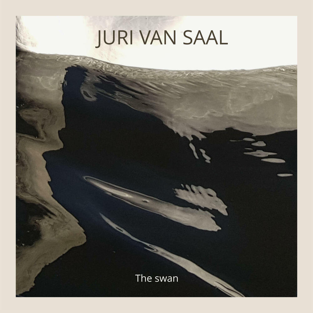Релиз The swan