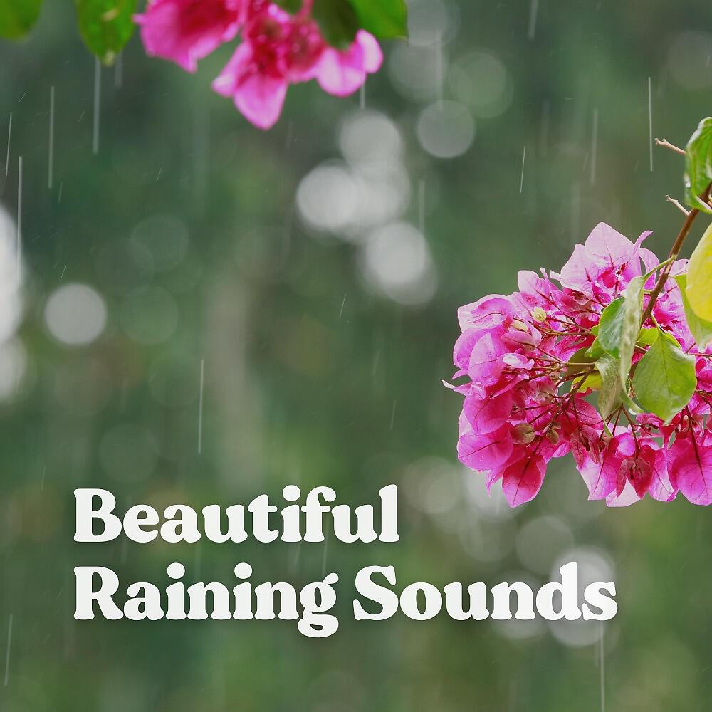 Релиз Beautiful Raining Sounds