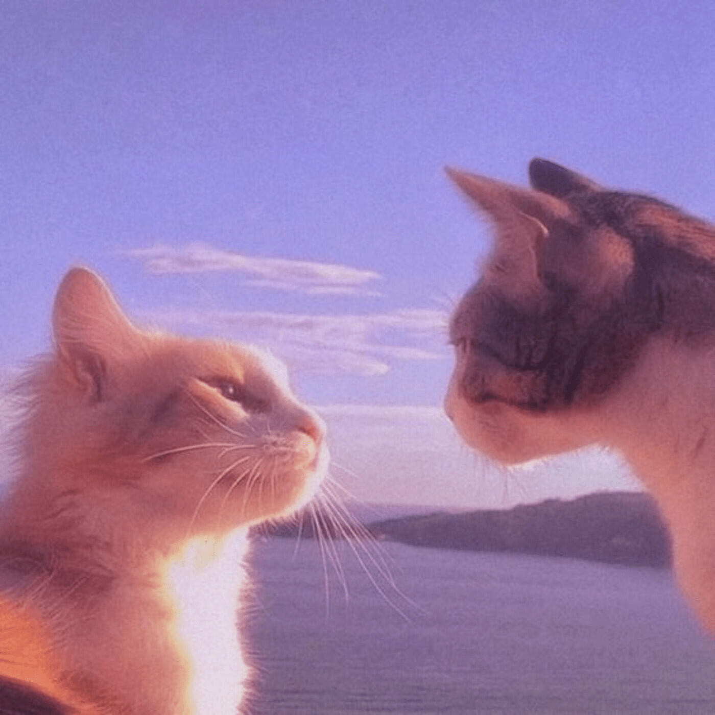 Релиз Another Day in Paradise