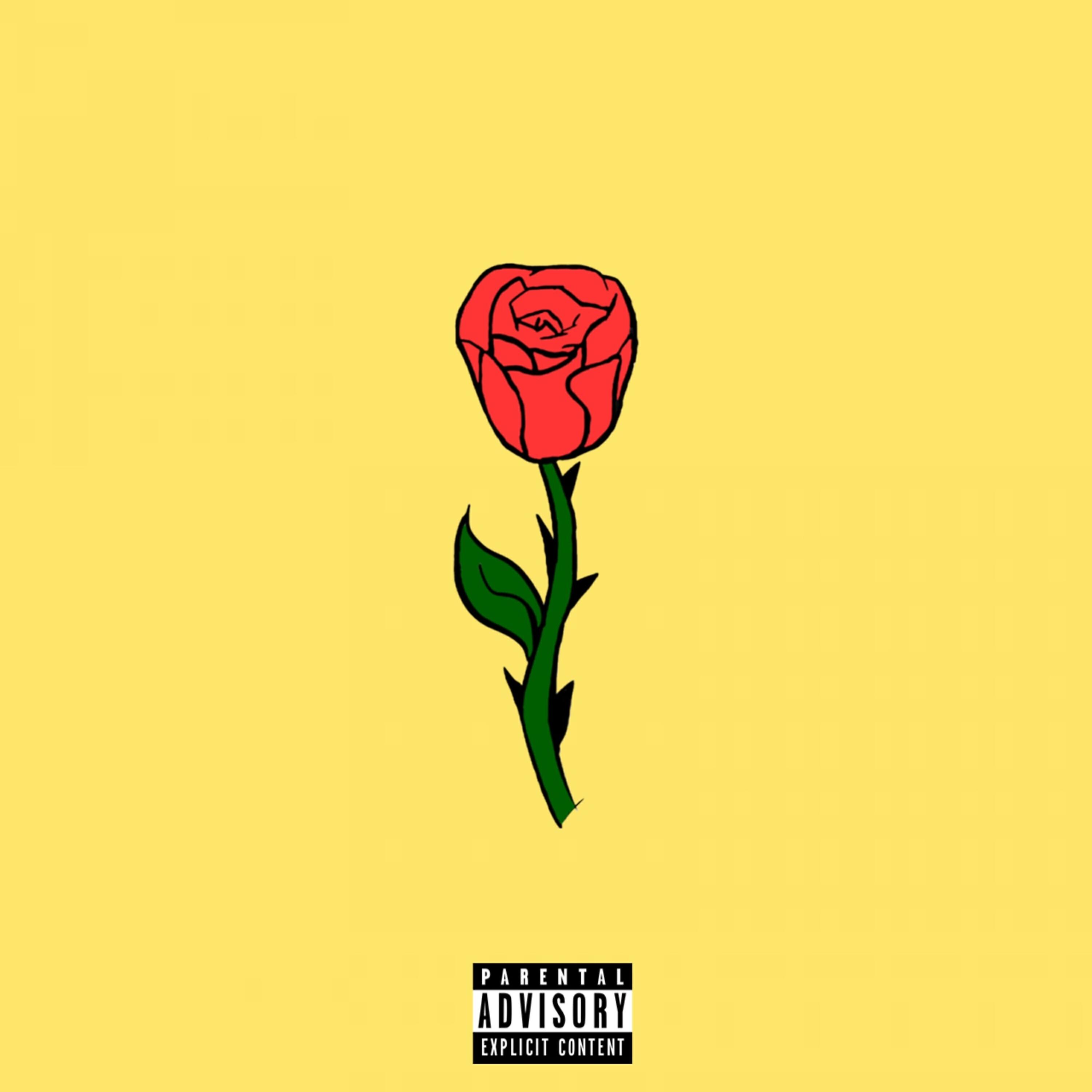 Релиз Señorita