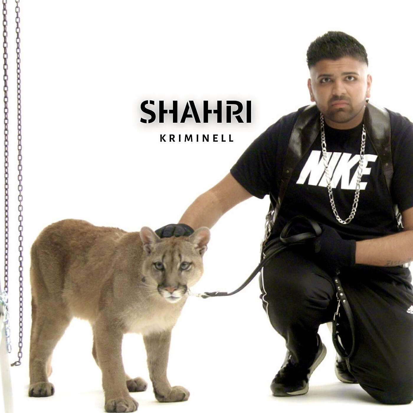 Релиз Kriminell