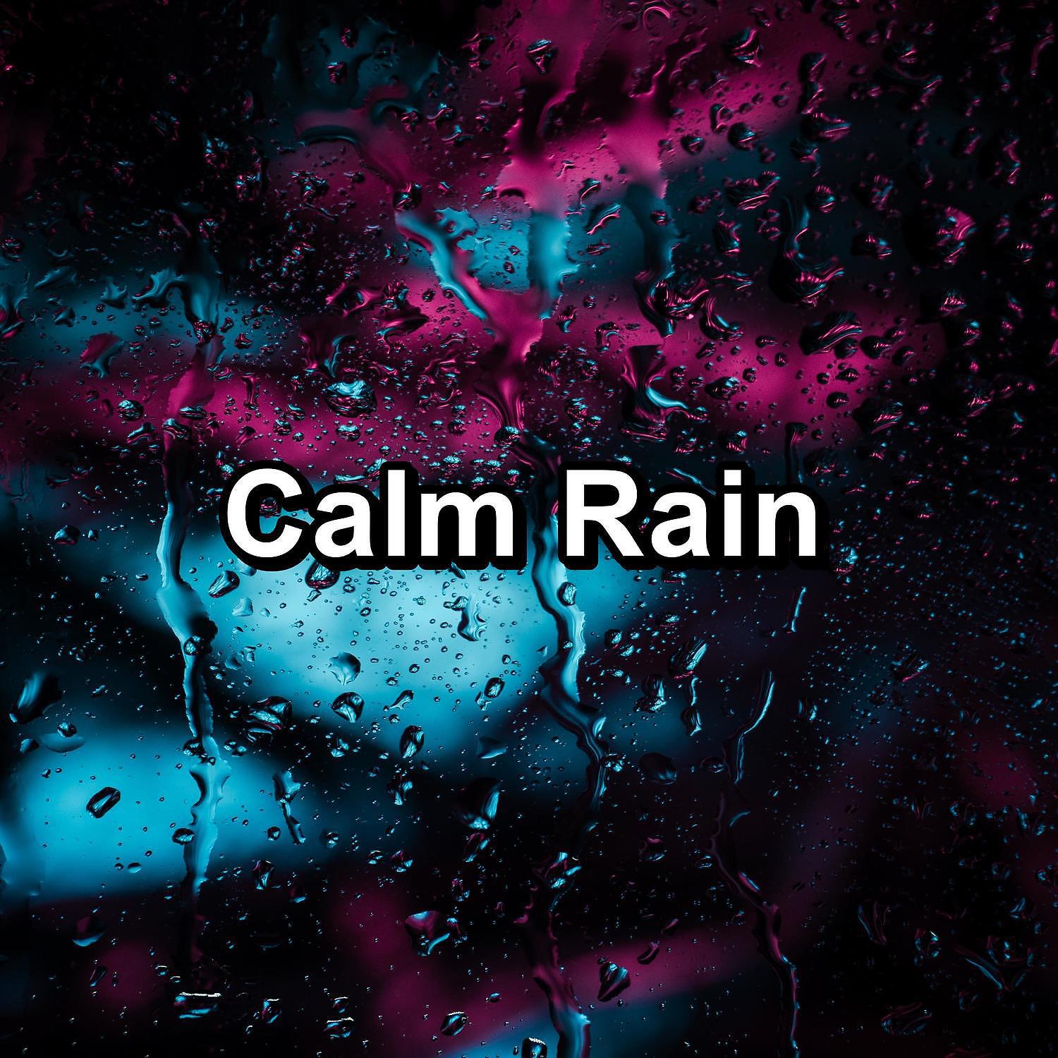 Постер альбома Calm Rain