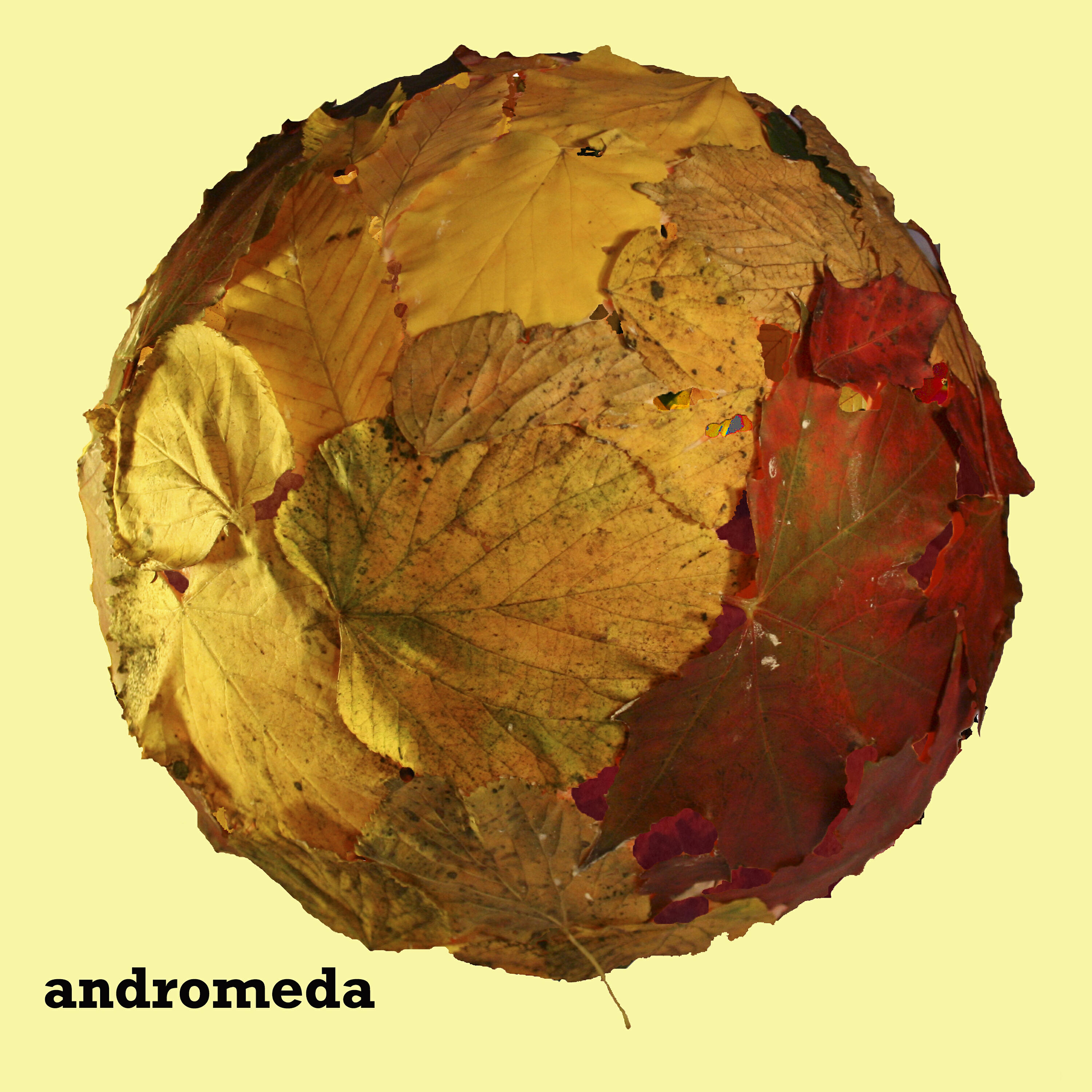 Постер альбома Andromeda