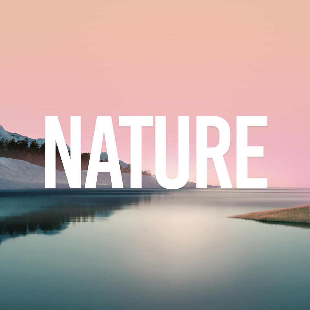 Релиз Nature