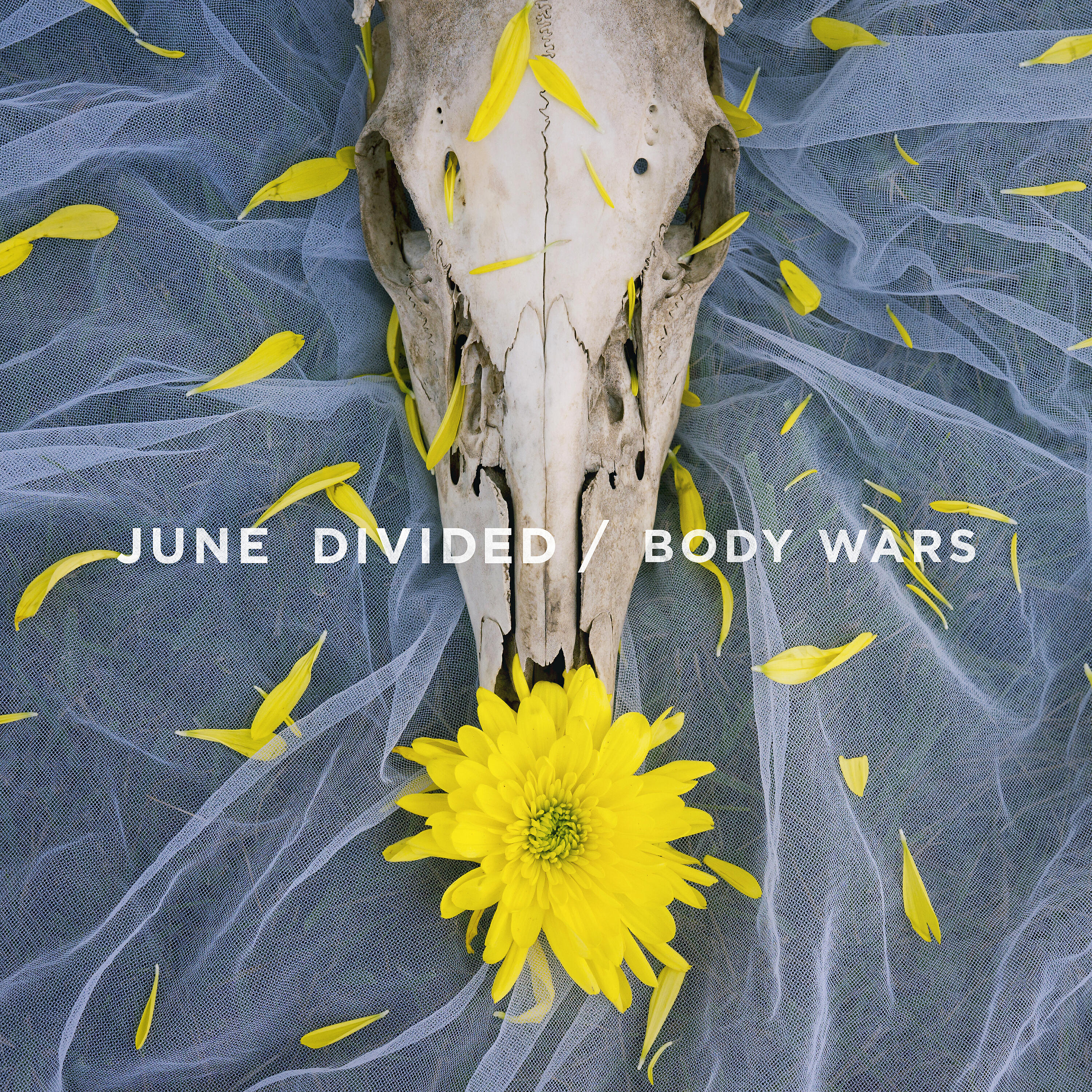 Релиз Body Wars