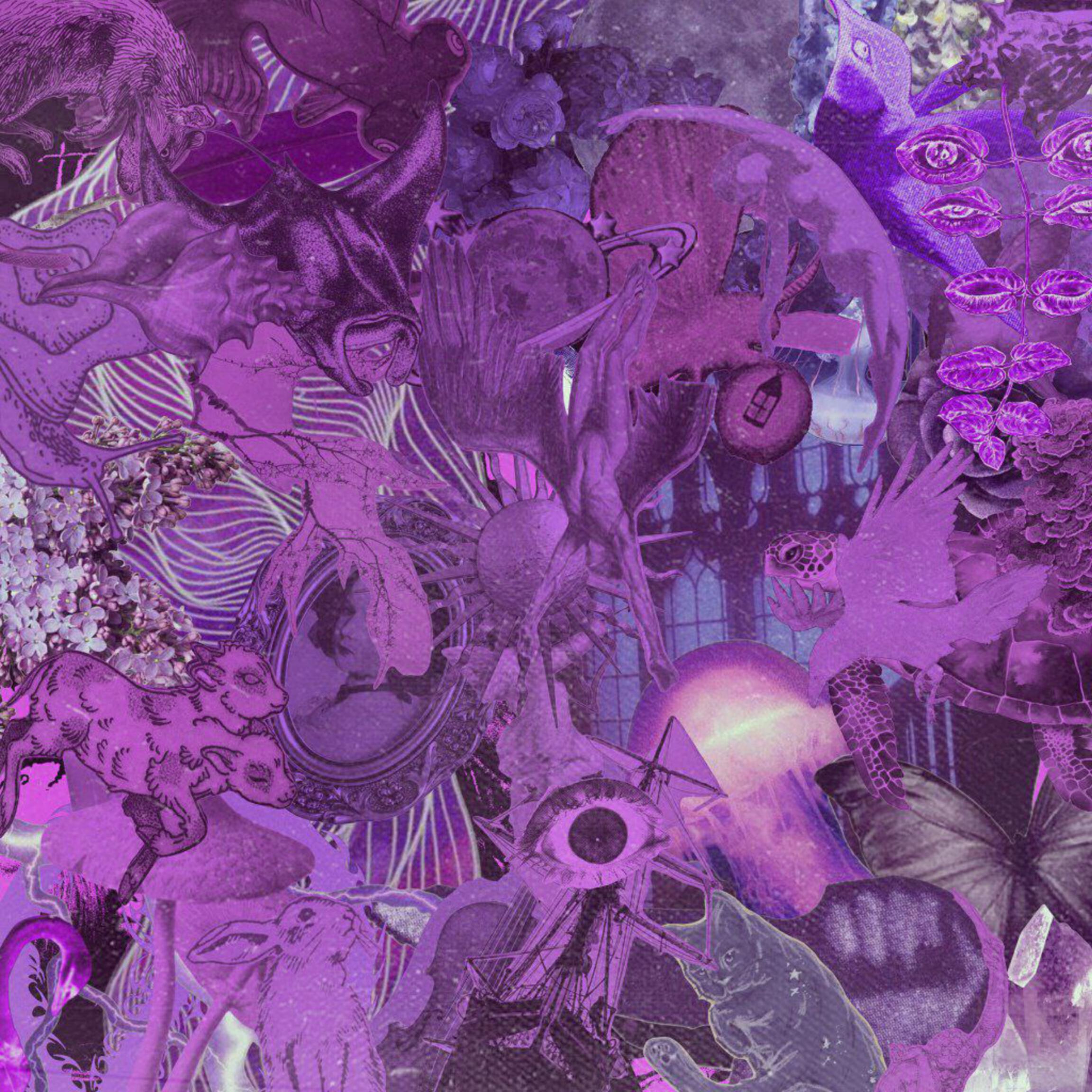 Релиз Пурпурный альбом