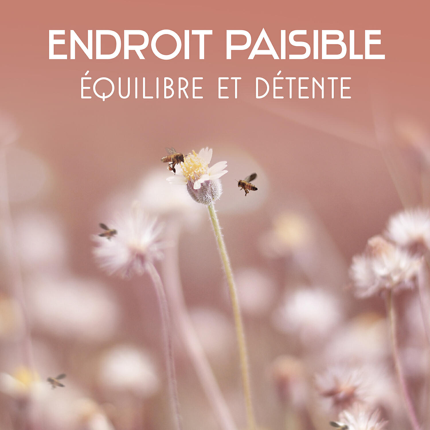 Релиз Endroit paisible: Équilibre et détente - Thérapie et guérison musique, La compilation méditation tibétaine, Musique de jardin zen