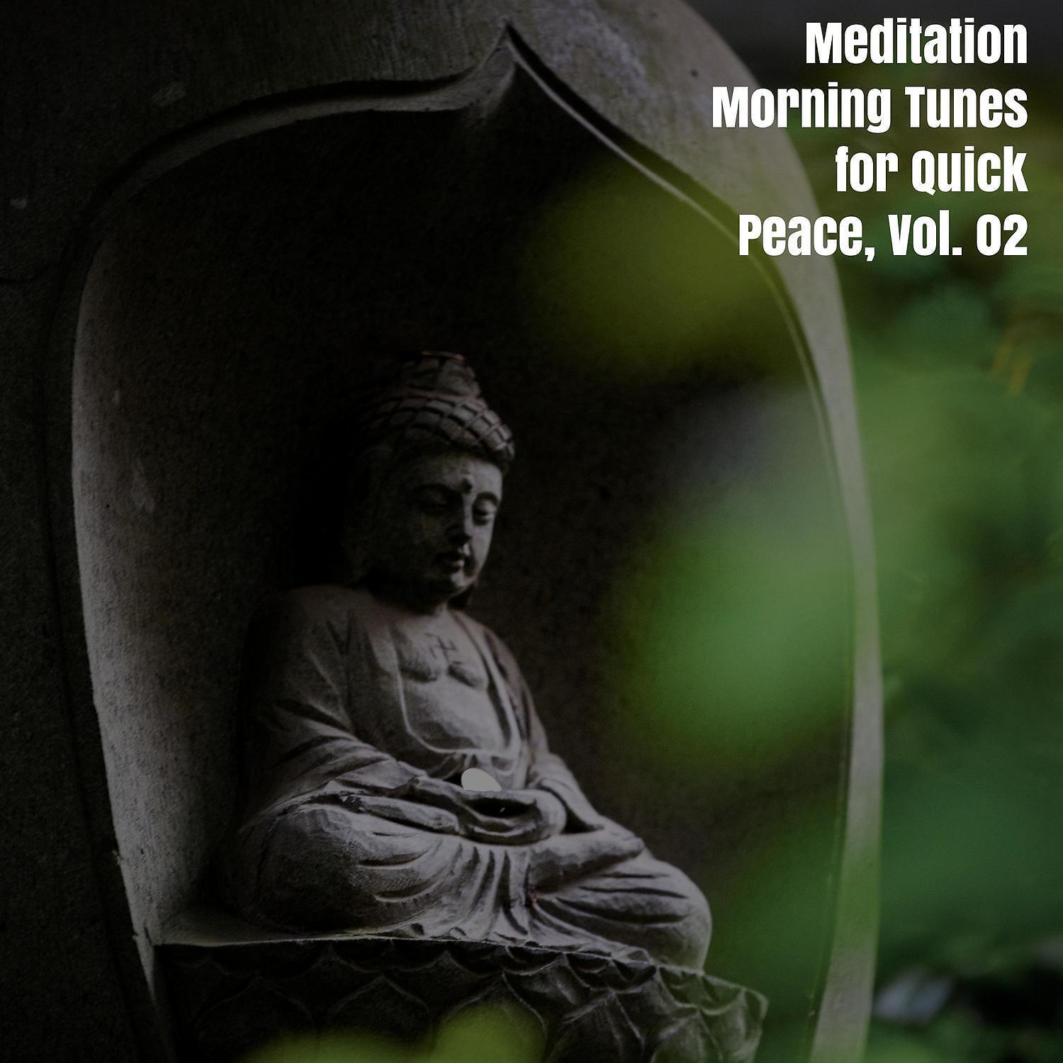 Релиз Meditation Morning Tunes for Quick Peace, Vol. 02