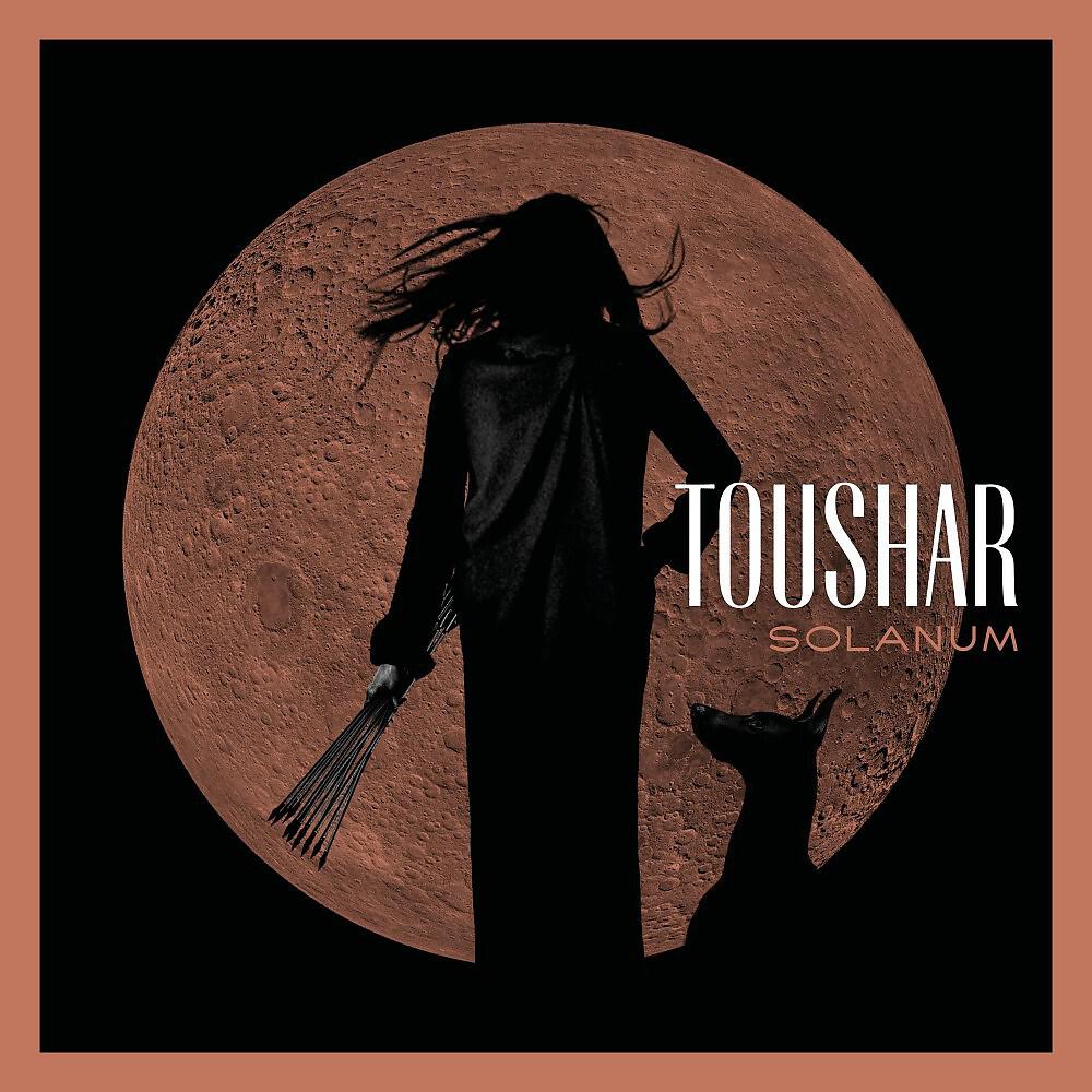 Релиз Solanum