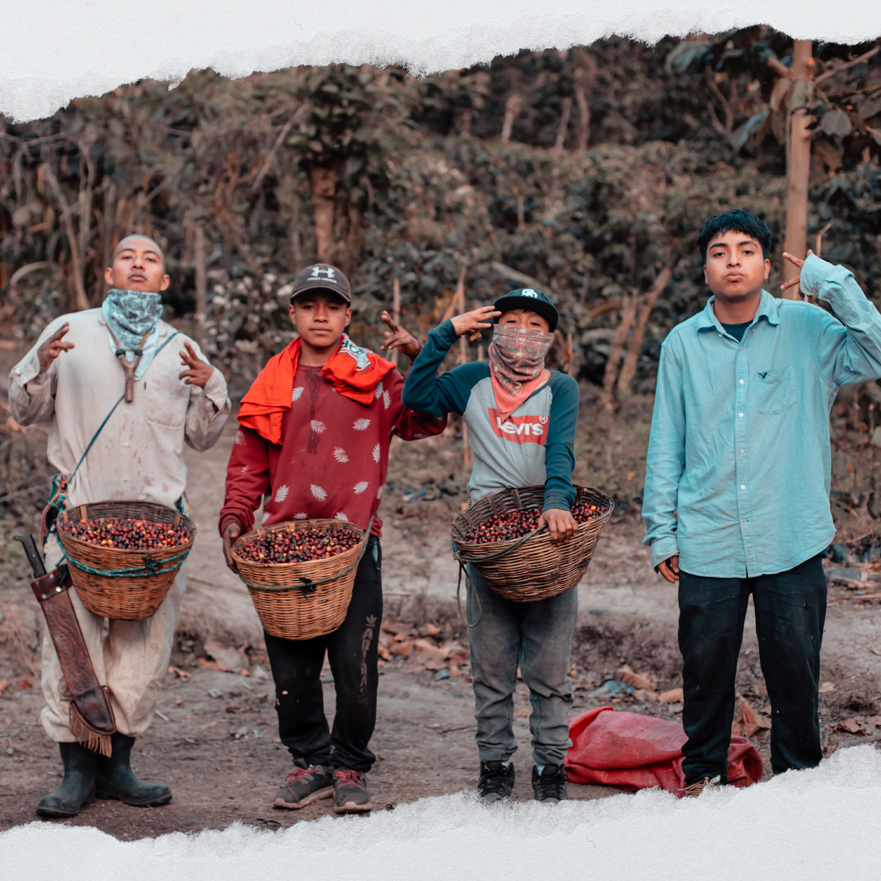 Релиз Cumbia del Cafetal
