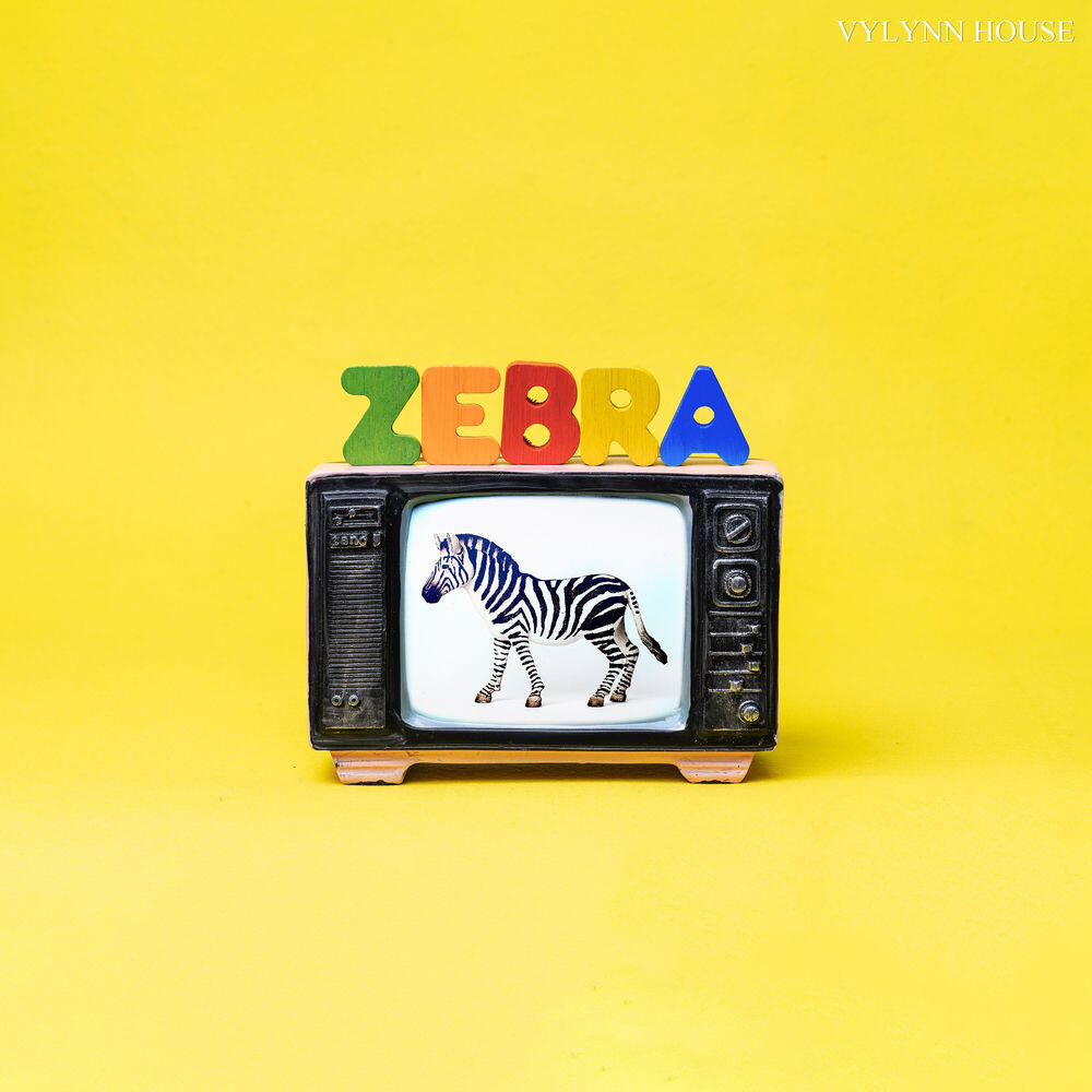 Релиз ZEBRA