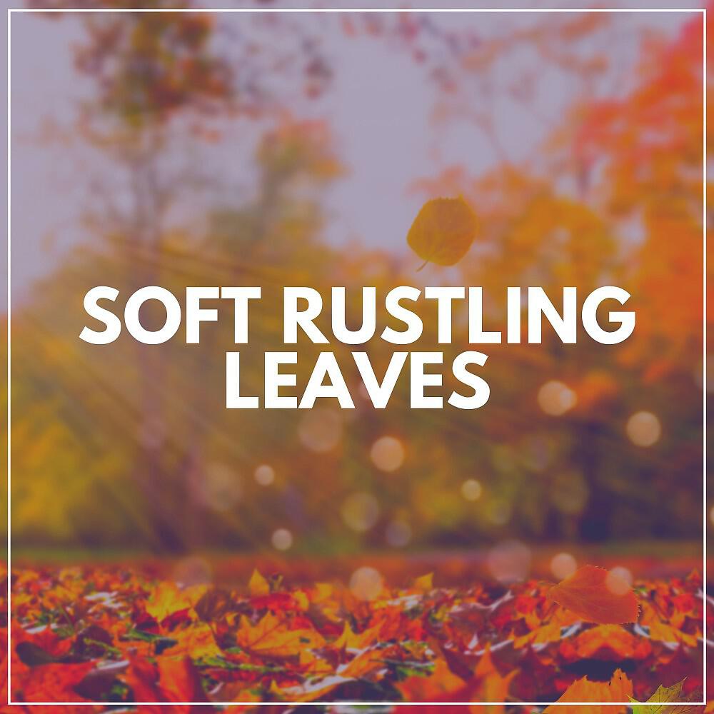 Релиз Soft Rustling Leaves