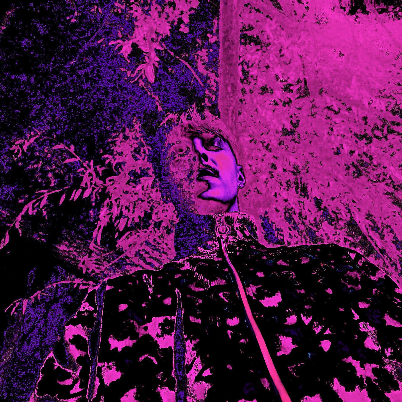 Релиз MAGENTA