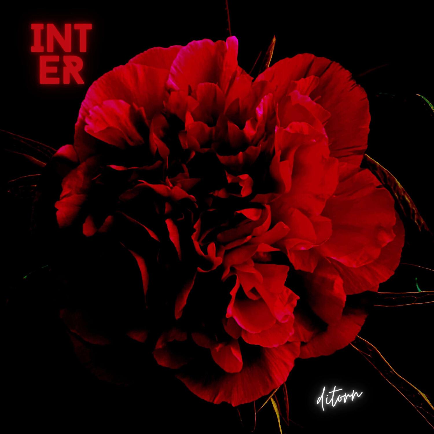 Релиз INTER