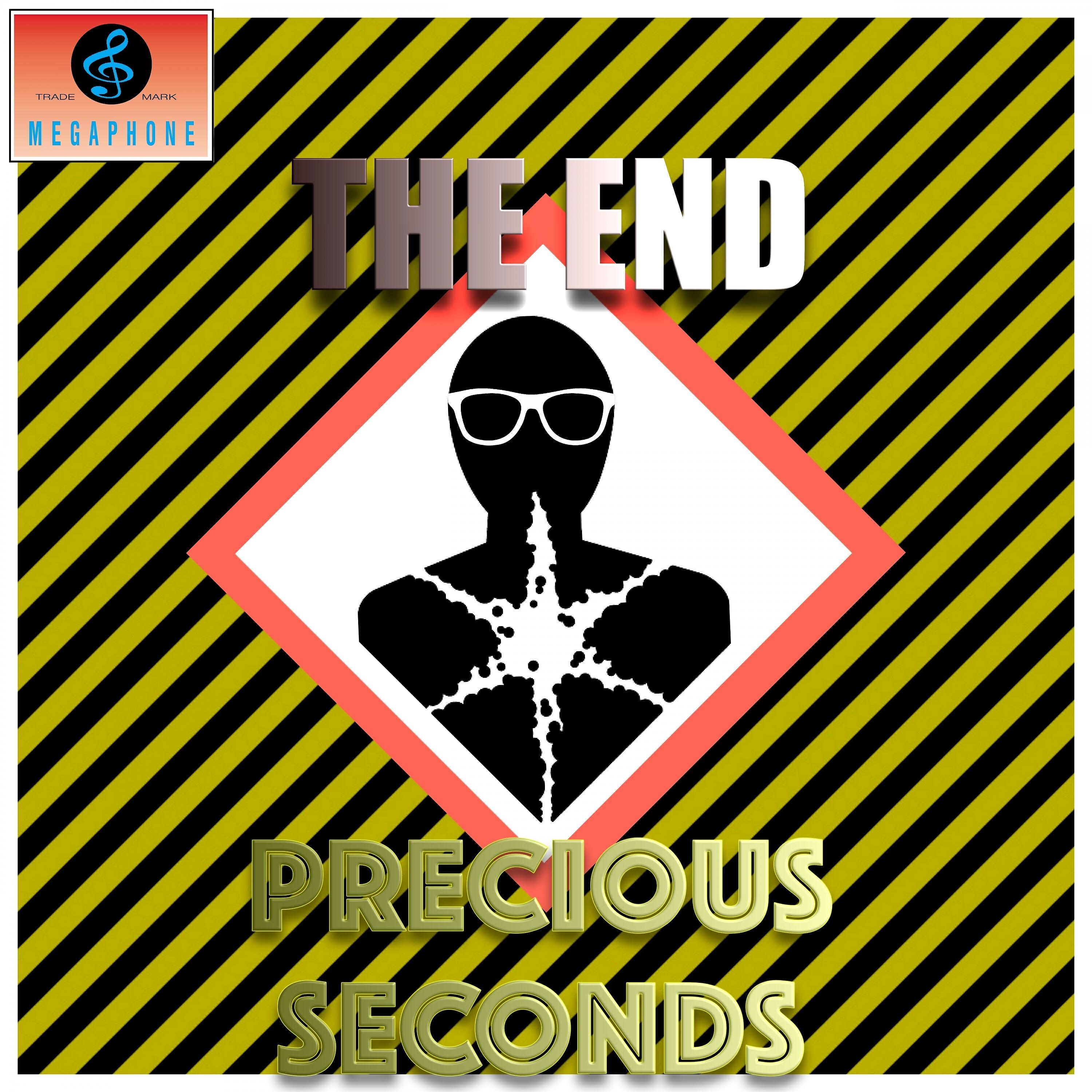 Релиз Precious Seconds