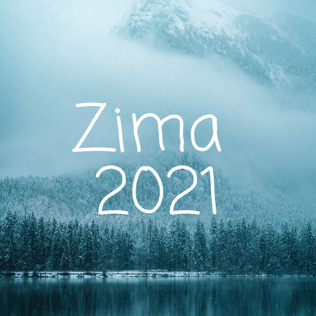 Постер альбома Zima 2021