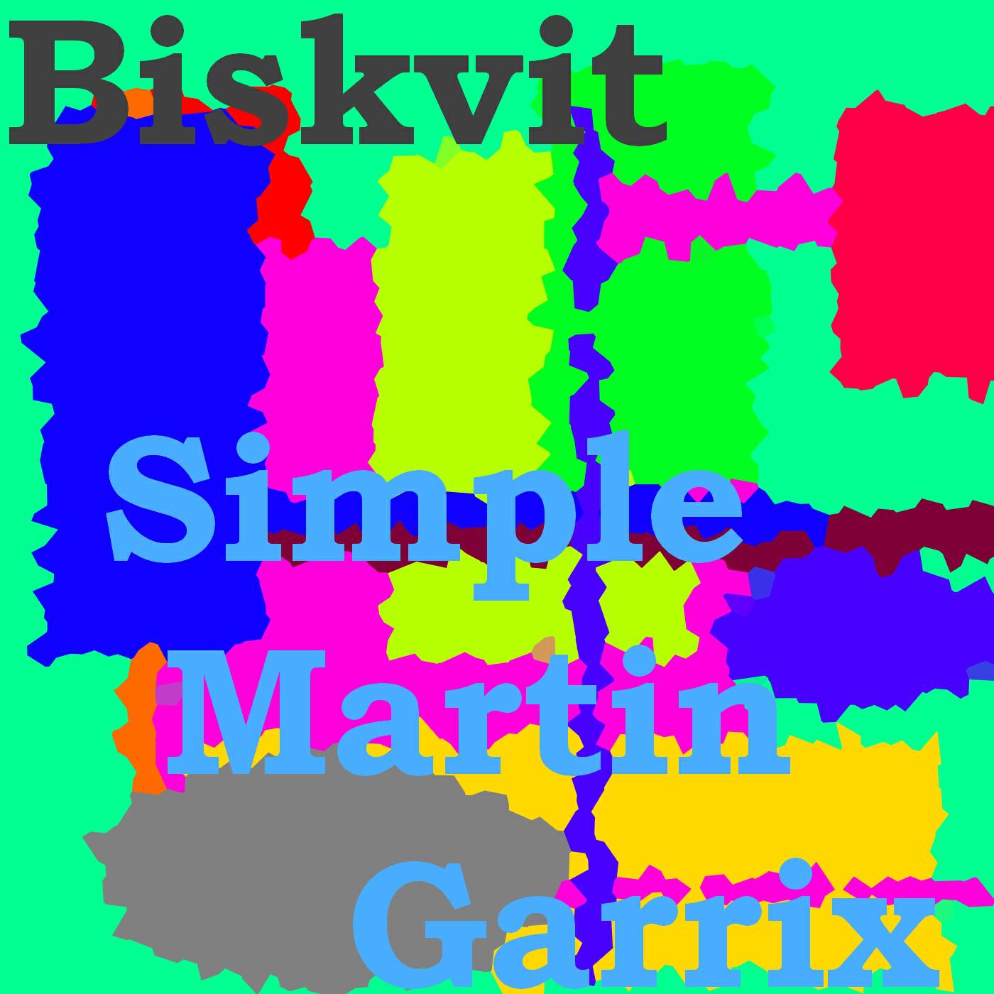 Релиз Simple Martin Garrix